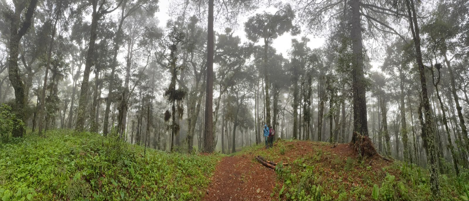 Ruta 6: Senderismo a Santa Catarina Ixtepeji 2